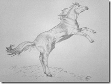 Reuben 20min sketch - rearing horse